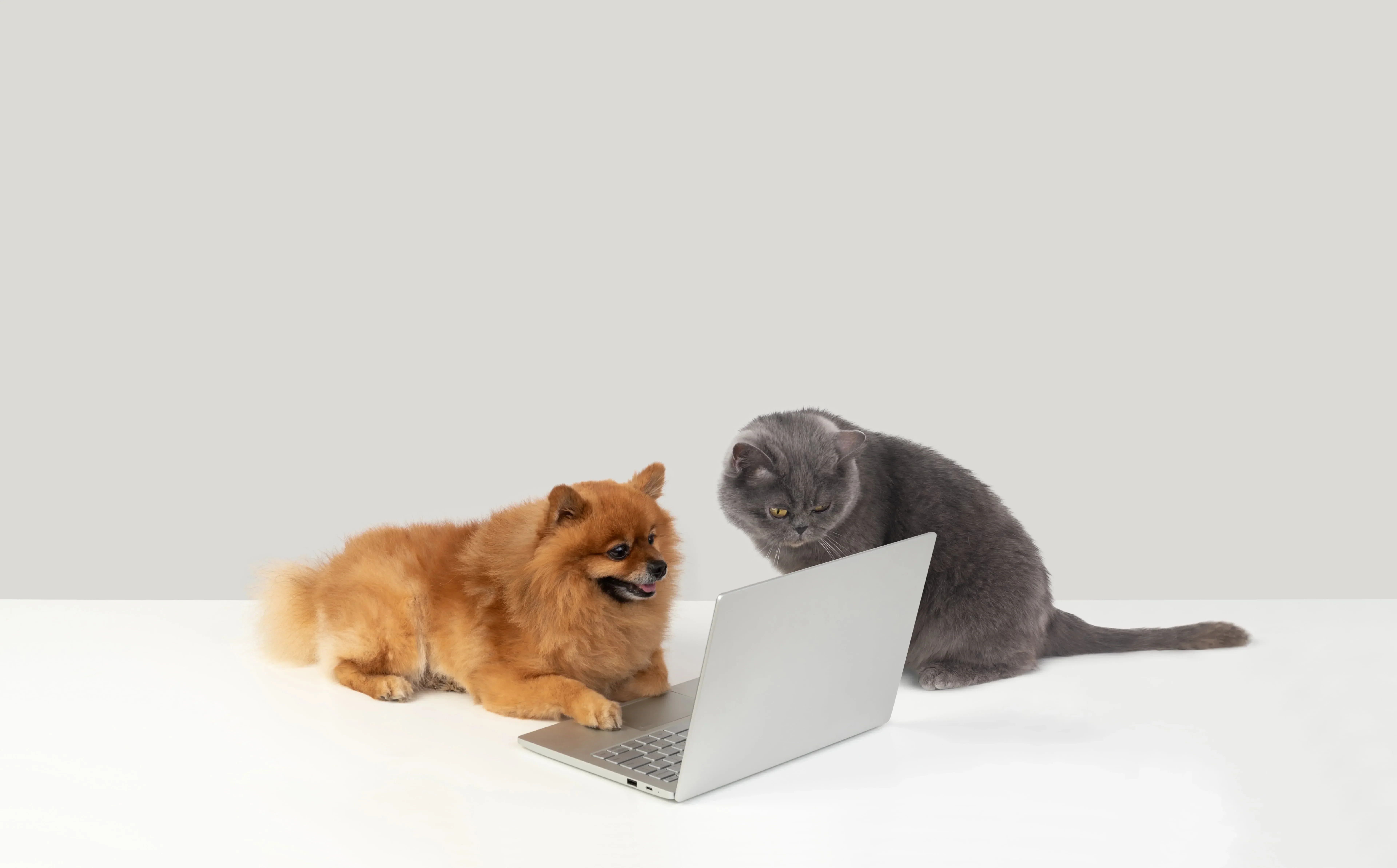 Burdur Online Website Design: Make a Difference in the Internet World