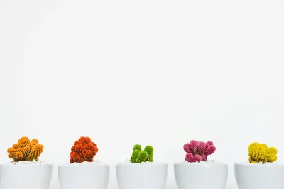 Çankırı Website Design Prices and Pricing Models